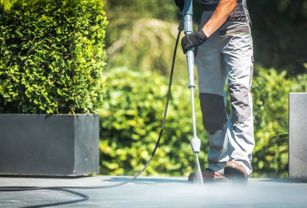 Best Sidewalk and Walkway Cleaning  in Silver City, NM