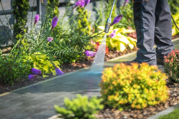 Best Restaurant Pressure Washing  in Silver City, NM