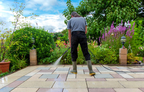 Best Sidewalk and Walkway Cleaning  in Silver City, NM